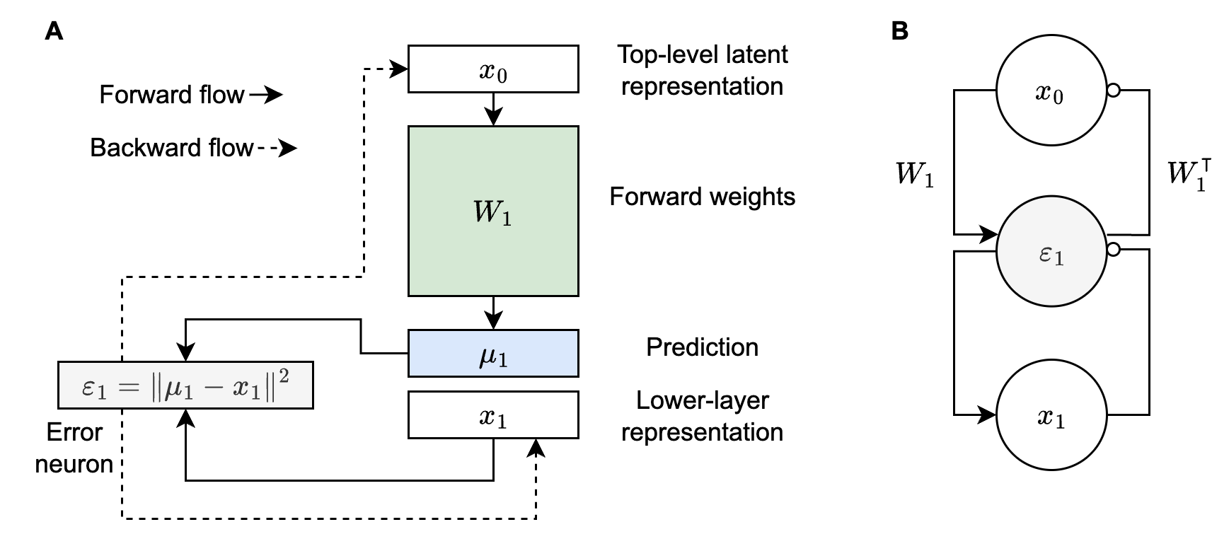 Predictive coding motif