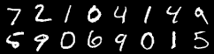 Input MNIST digits